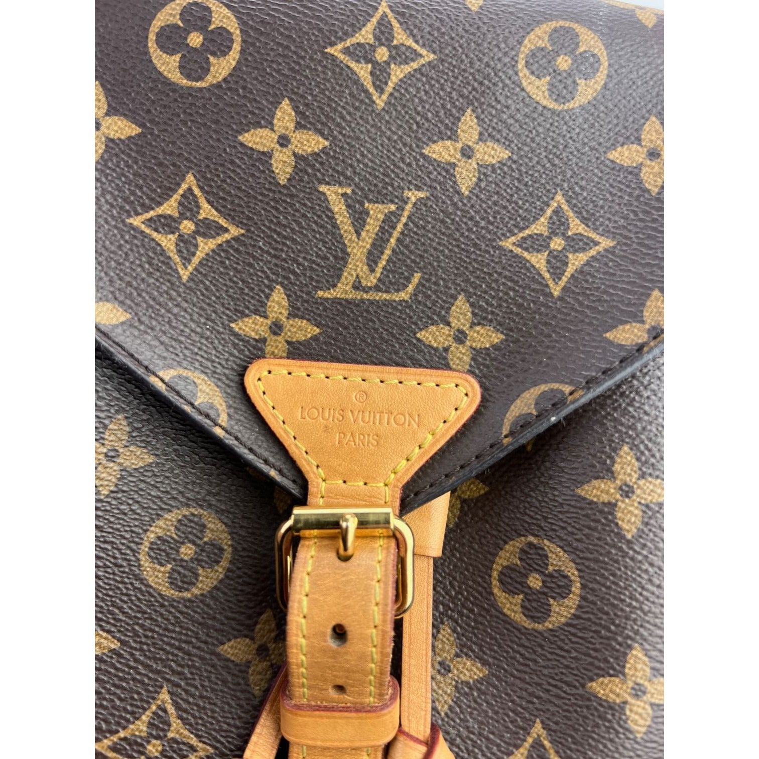 Ba lô LOUIS VUITTON Montsouris NM Monogram