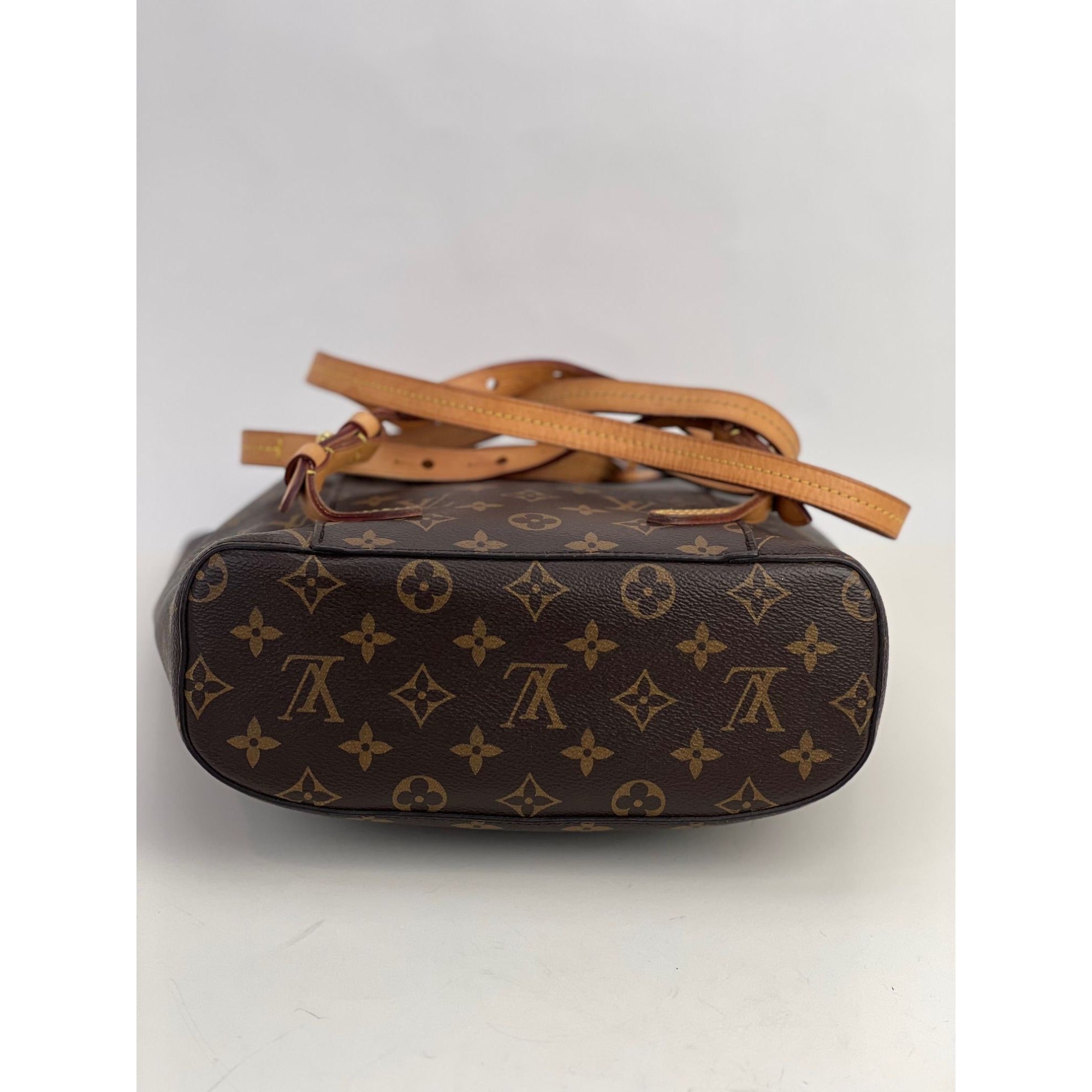 Ba lô LOUIS VUITTON Montsouris NM Monogram