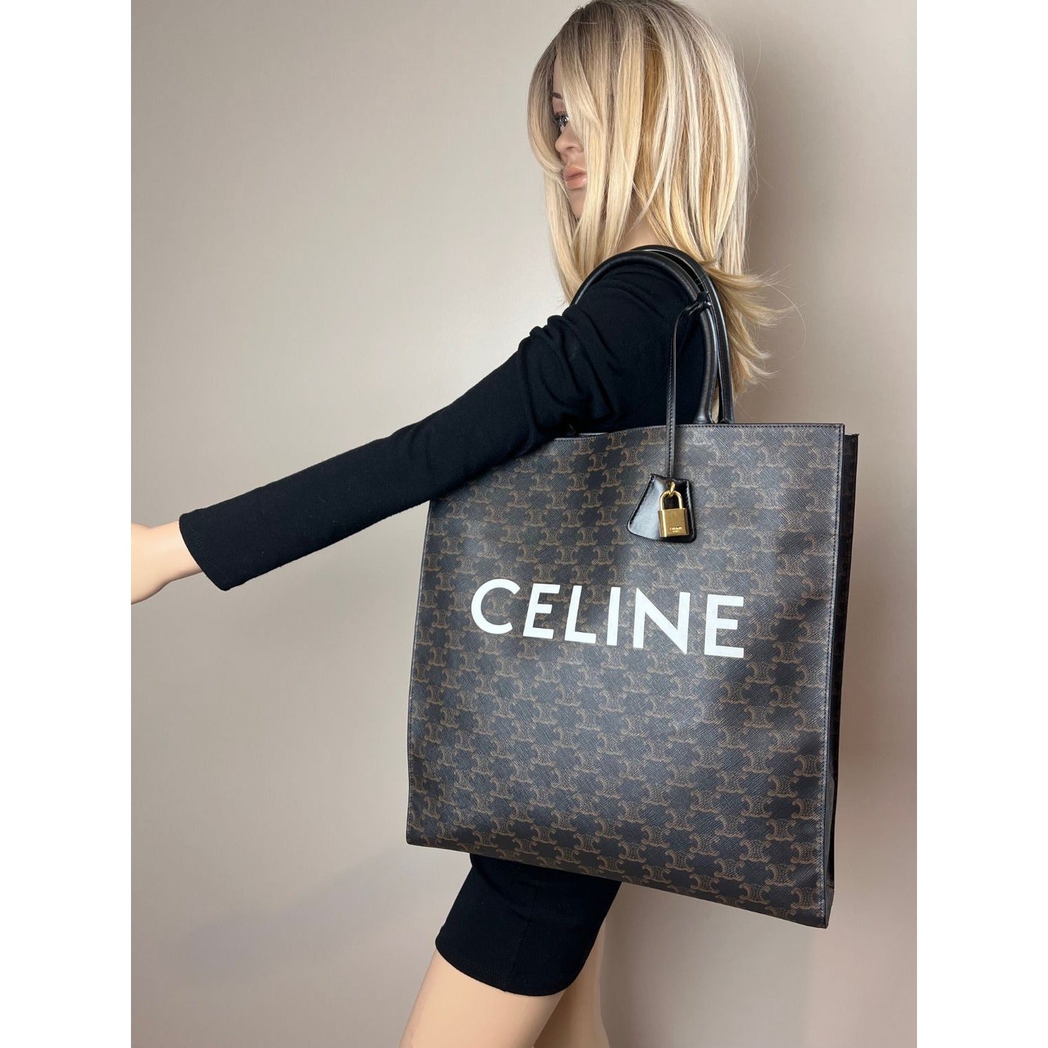 Túi tote vải canvas Celine Triomphe Vertical Cabas màu đen họa tiết Monogram