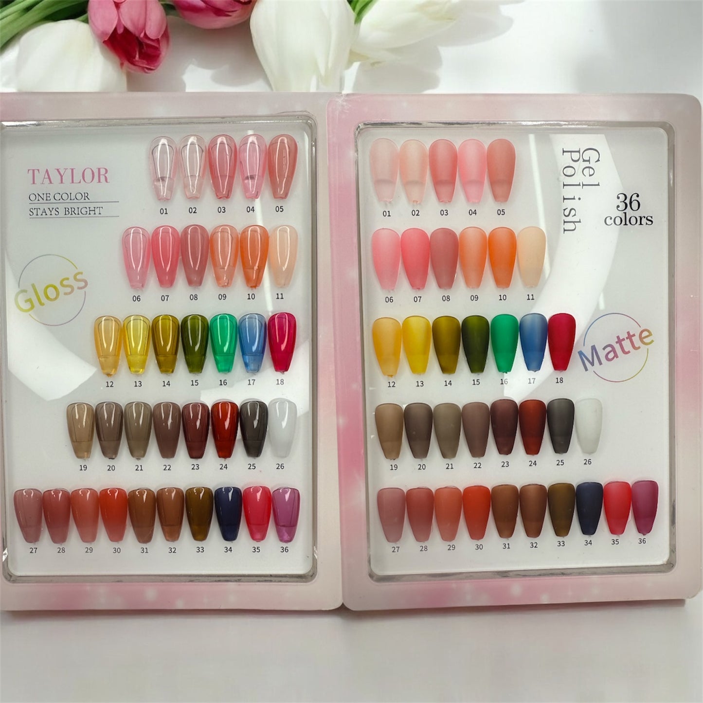 Jelly Gel 36 Màu - Full Set