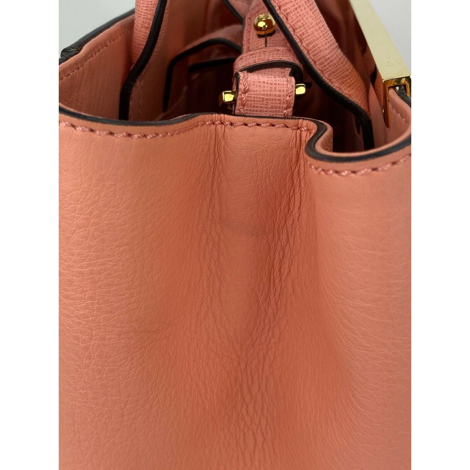 Túi đeo chéo Fendi Vitello Elite Flamingo Petite 2Jours Pink Tote Shoulder Crossbody Bag