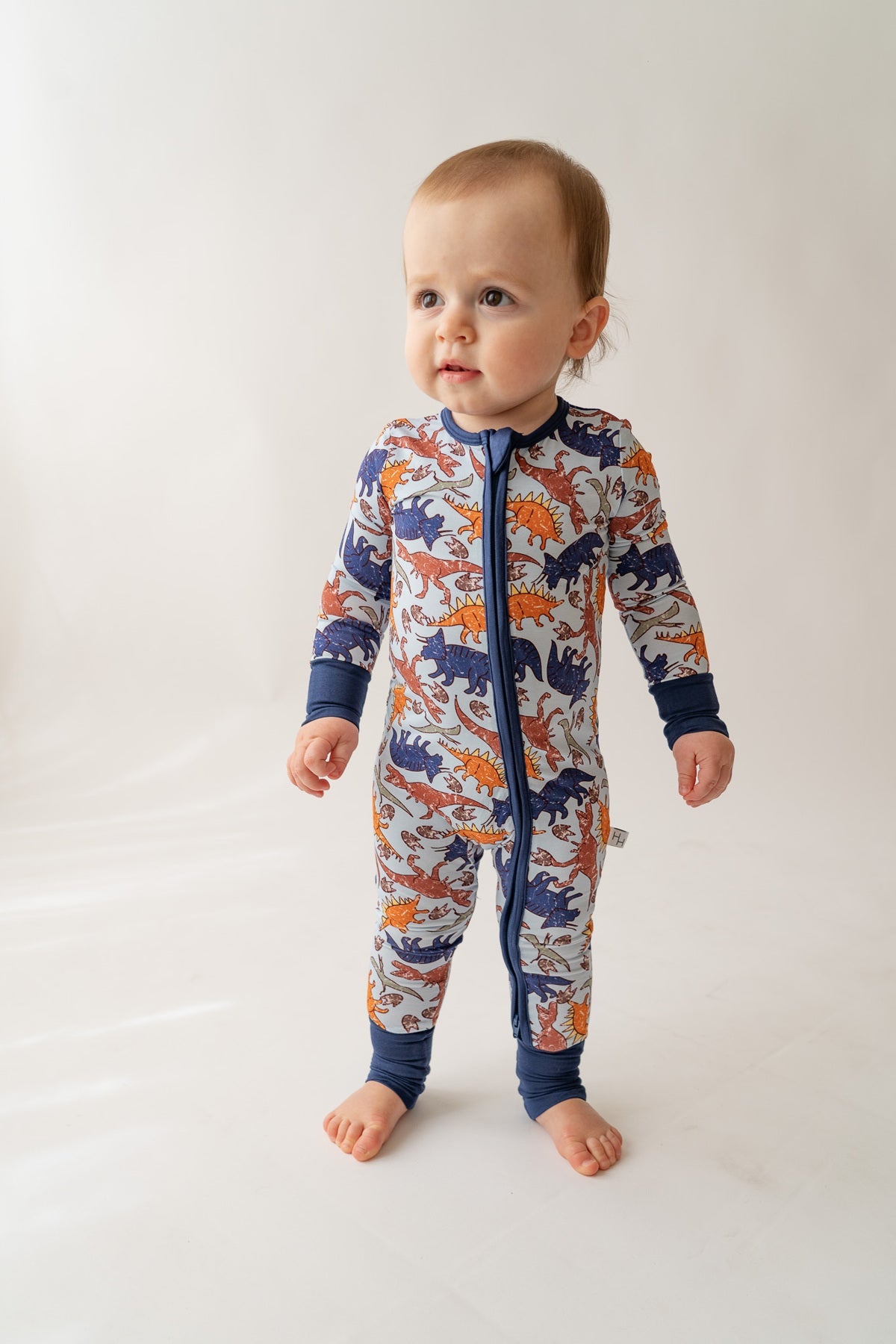 Blue Dino Loveralls