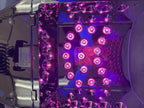 Led Igell