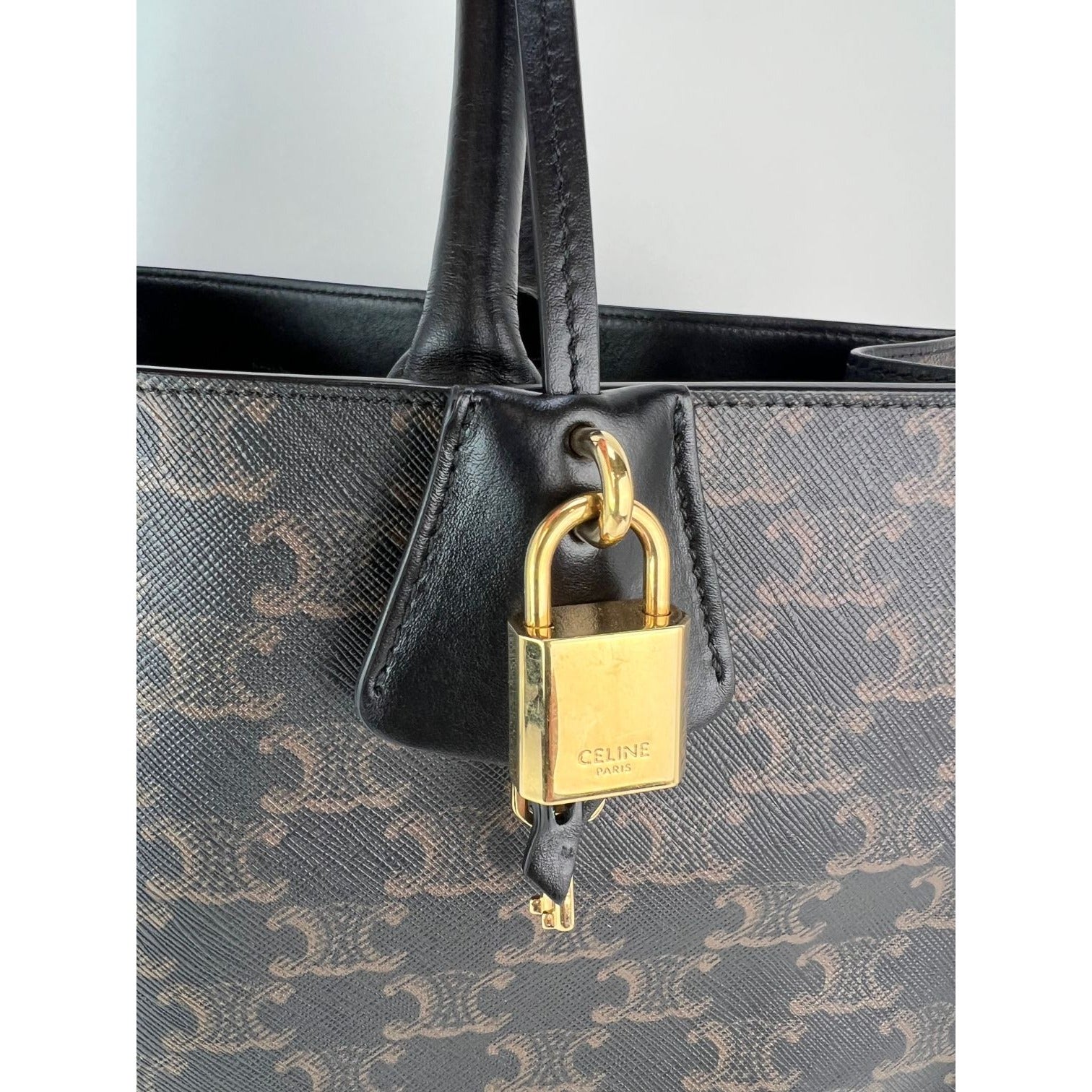 Túi tote vải canvas Celine Triomphe Vertical Cabas màu đen họa tiết Monogram