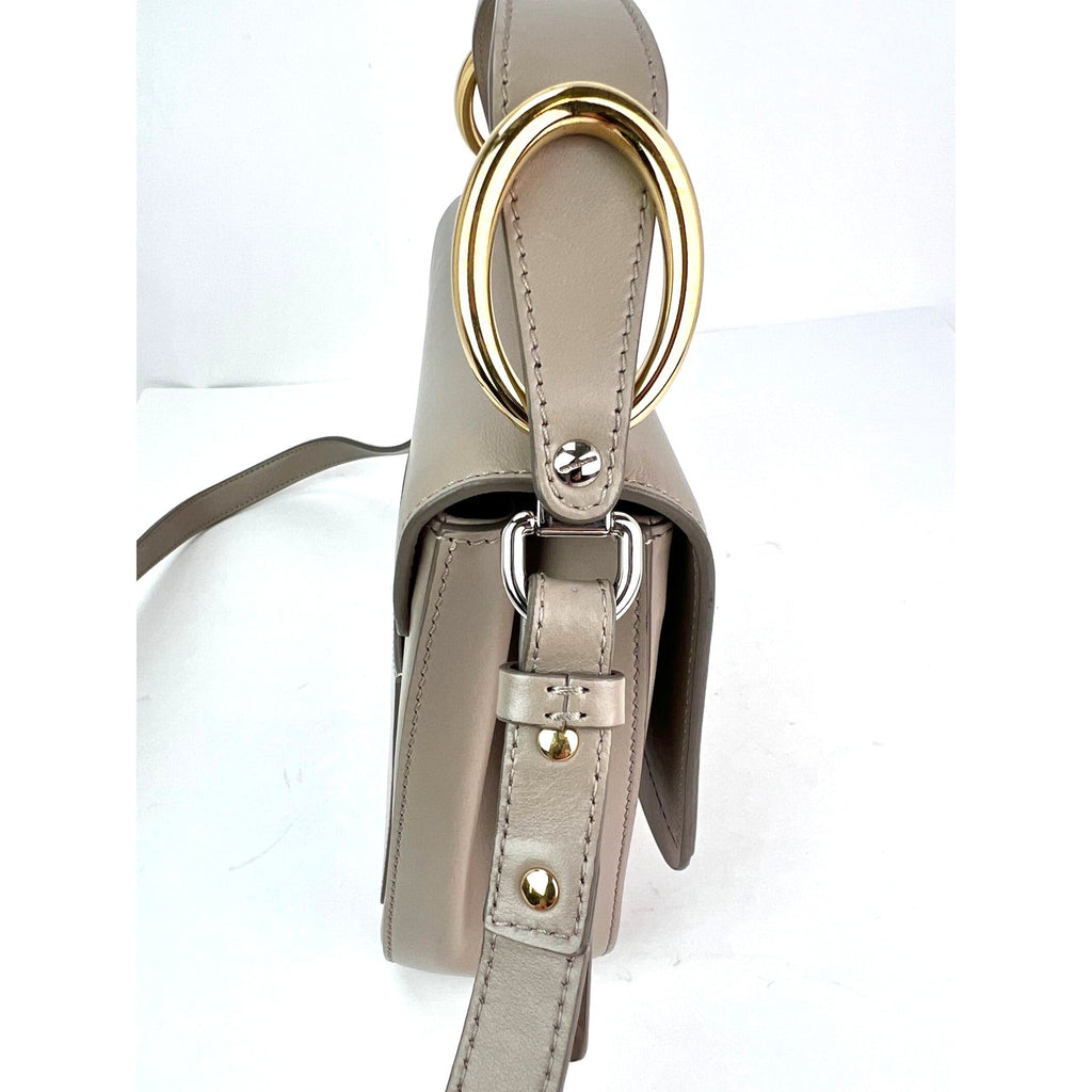 Túi đeo vai Chloe Shiny Calfskin Suede Small C Motty Gray