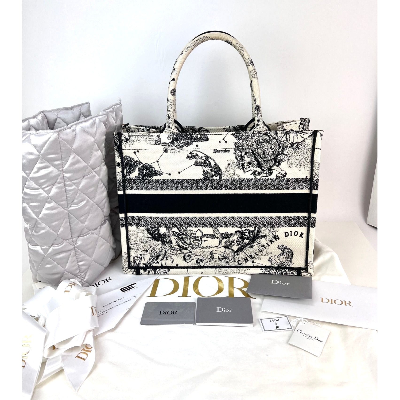 Túi vải canvas thêu hình ngôi sao và dấu hiệu cỡ trung của Christian Dior màu đen