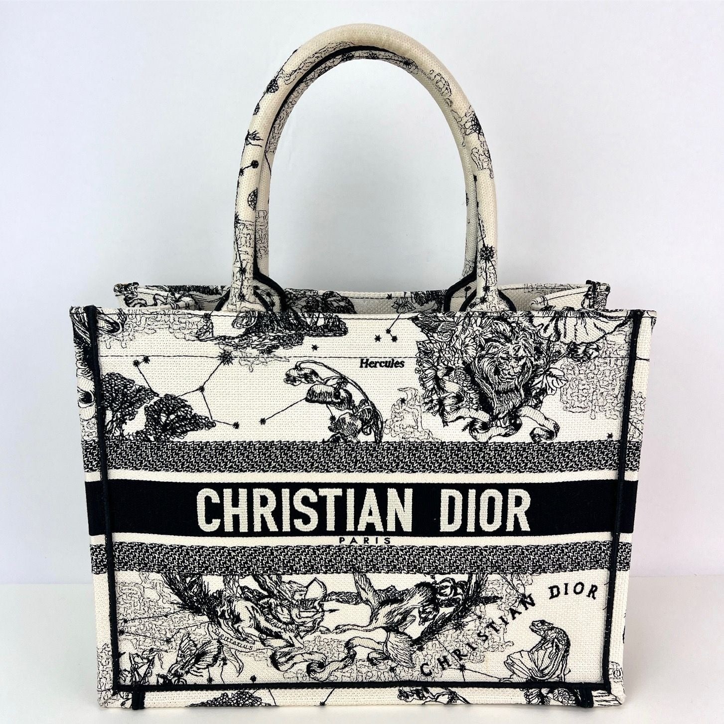 Túi vải canvas thêu hình ngôi sao và dấu hiệu cỡ trung của Christian Dior màu đen