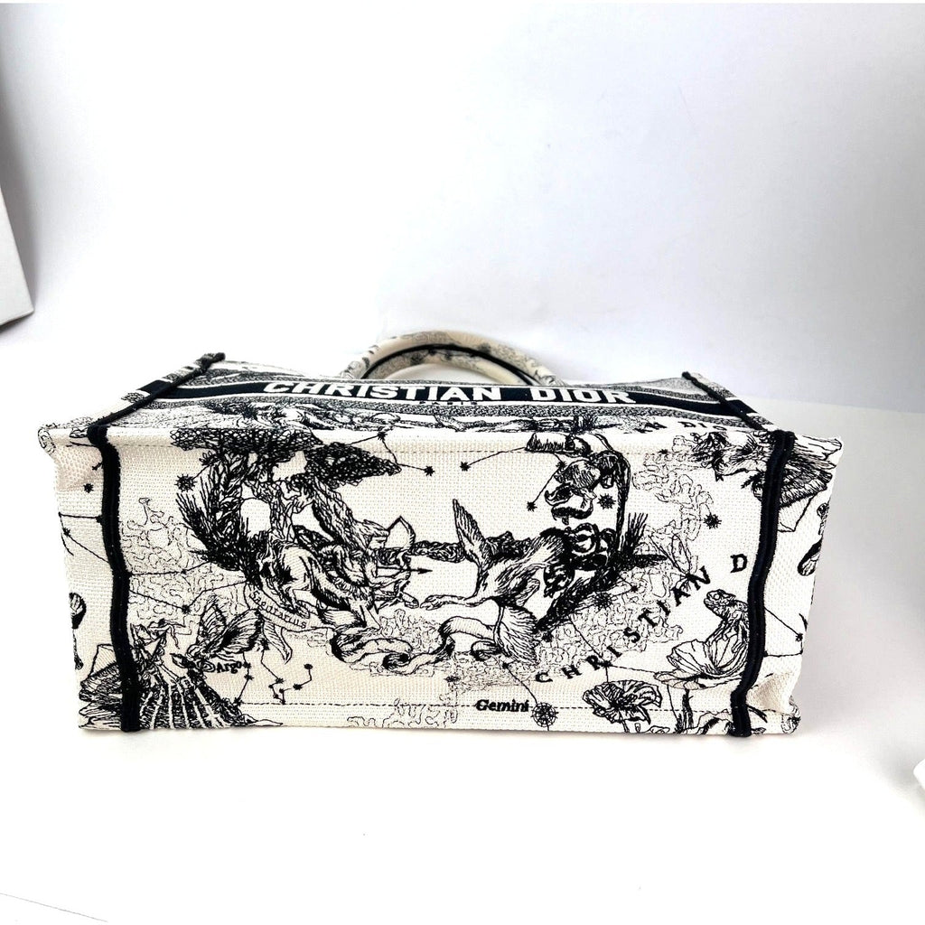 Túi vải canvas thêu hình ngôi sao và dấu hiệu cỡ trung của Christian Dior màu đen