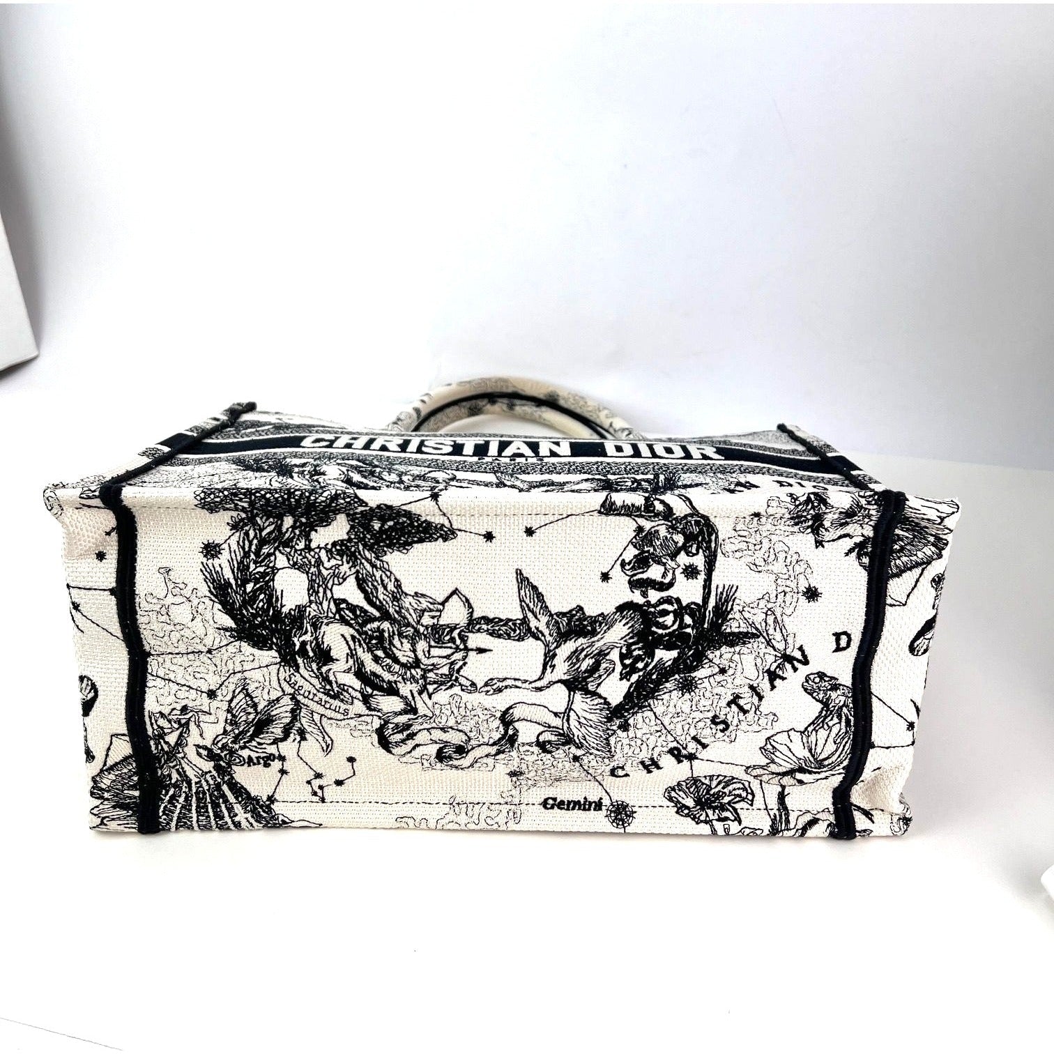 Túi vải canvas thêu hình ngôi sao và dấu hiệu cỡ trung của Christian Dior màu đen