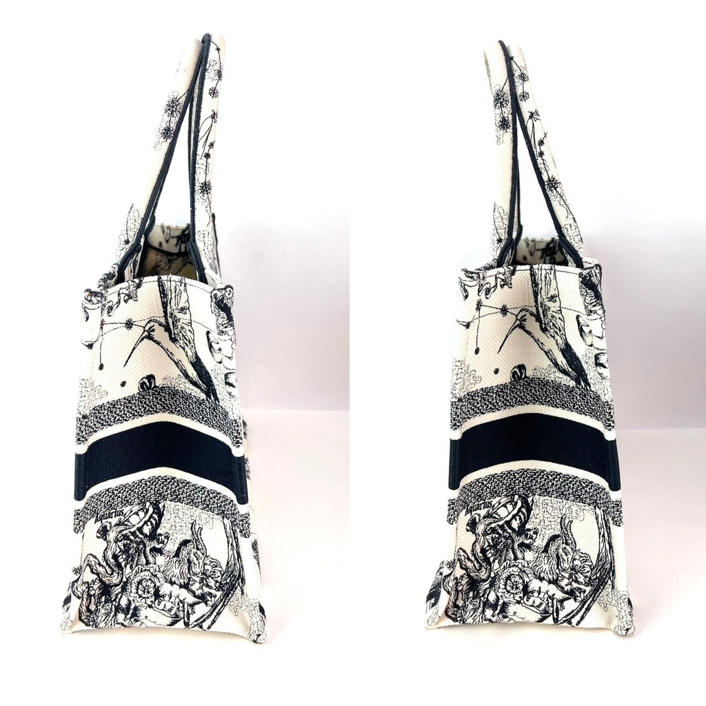 Túi vải canvas thêu hình ngôi sao và dấu hiệu cỡ trung của Christian Dior màu đen