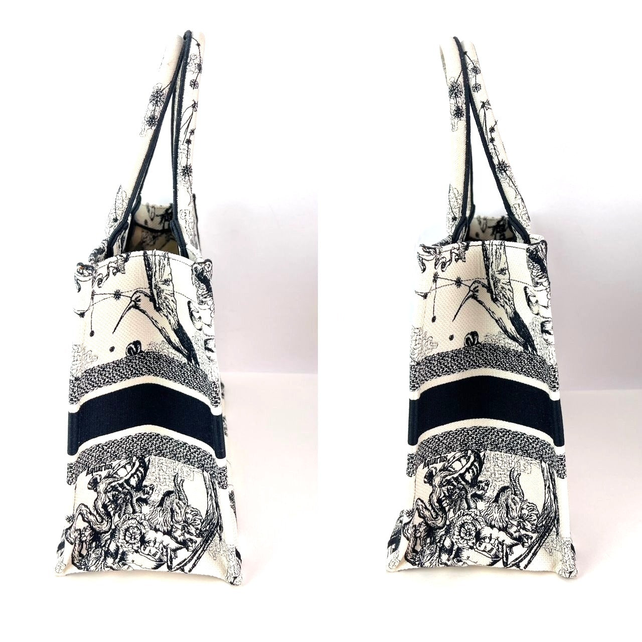 Túi vải canvas thêu hình ngôi sao và dấu hiệu cỡ trung của Christian Dior màu đen
