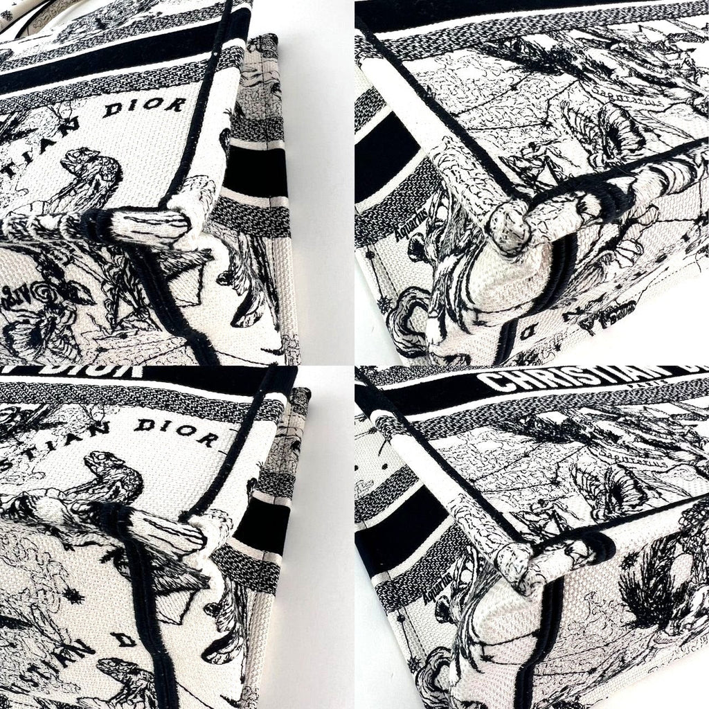 Túi vải canvas thêu hình ngôi sao và dấu hiệu cỡ trung của Christian Dior màu đen