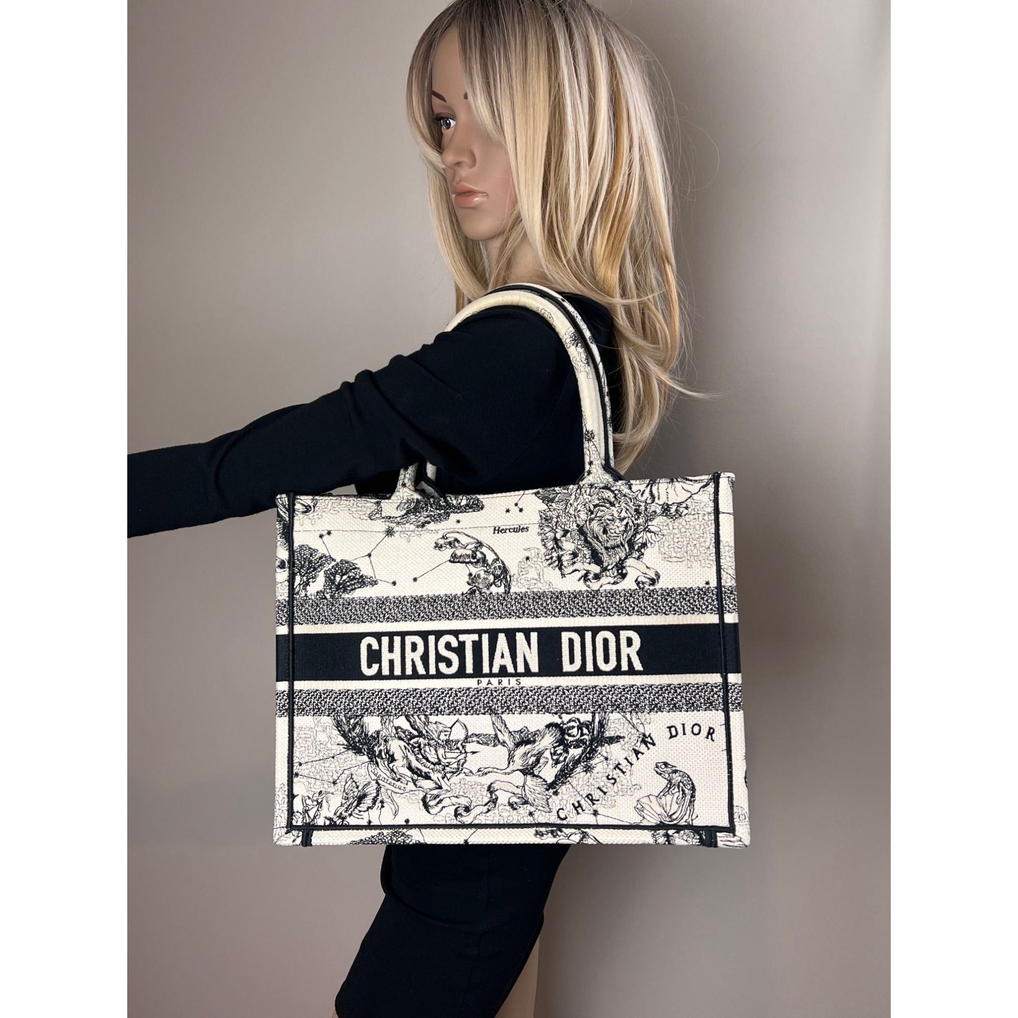 Túi vải canvas thêu hình ngôi sao và dấu hiệu cỡ trung của Christian Dior màu đen